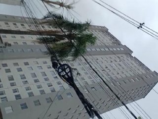 Imagem do imóvel AP39315