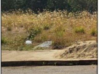 Imagem do imóvel TE30714